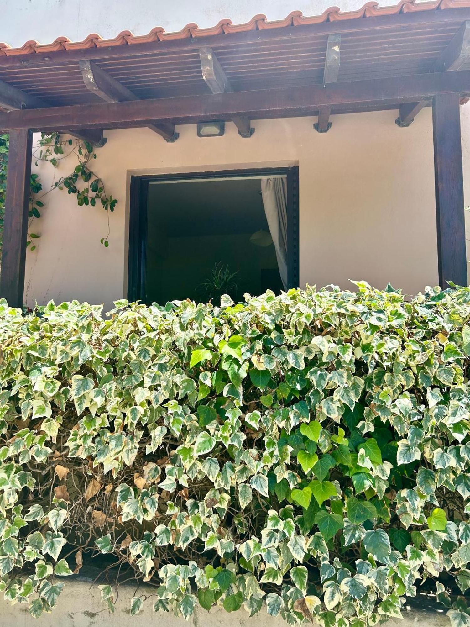 Esperia Apartments プラタネス エクステリア 写真